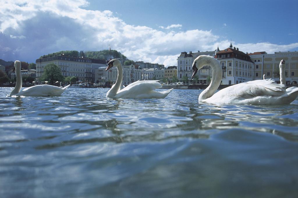 Landhotel Gruenberg Am See グムンデン エクステリア 写真